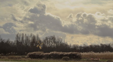 Weerribben langs de Hogeweg.
